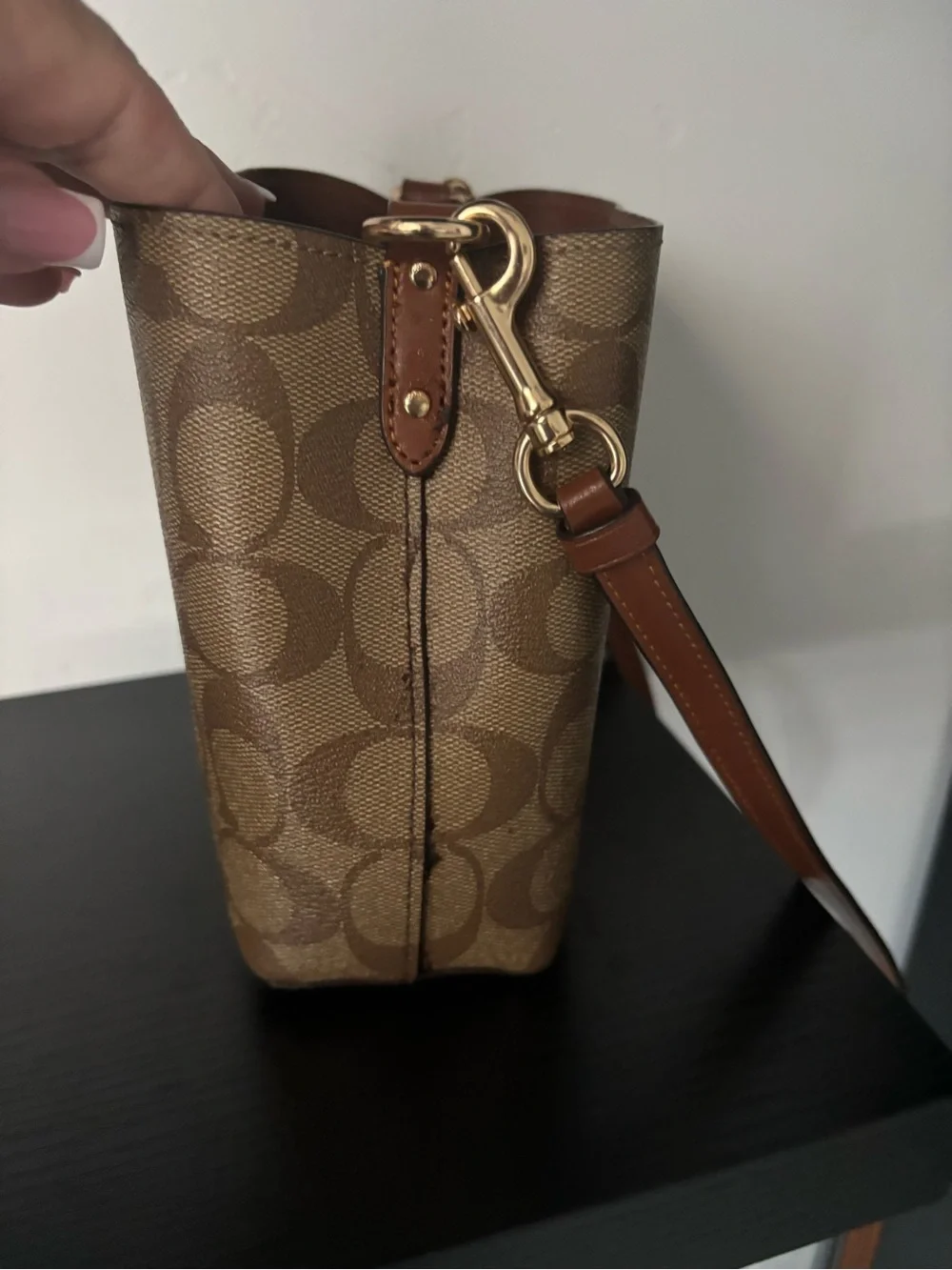 Coach signature canvas